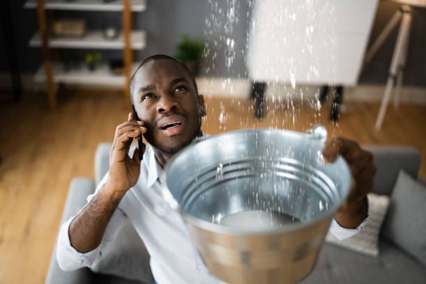 Best Flood restoration services  in Dumfries, VA
