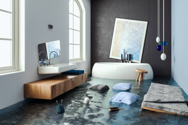 Best Mold removal after water damage  in Dumfries, VA