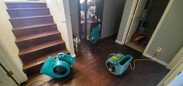 Best Flood damage cleanup  in Dumfries, VA