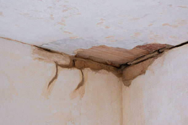 Best Ceiling water damage repair  in Dumfries, VA