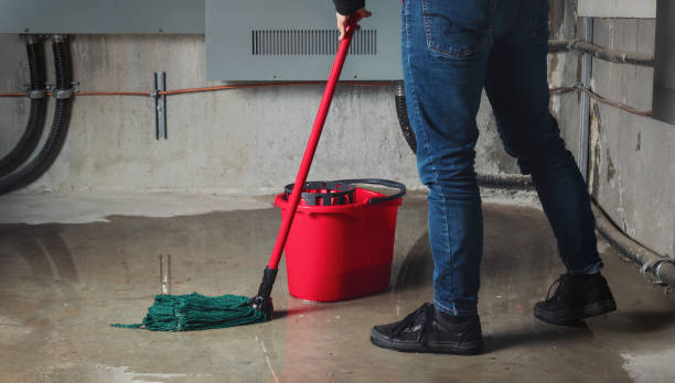 Best Emergency water damage restoration  in Dumfries, VA