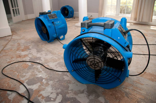 Best Water damage cleanup near me  in Dumfries, VA