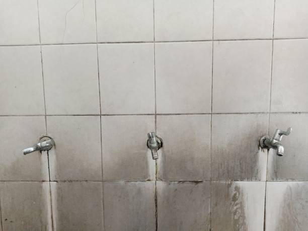 Carpet water damage restoration in Dumfries, VA