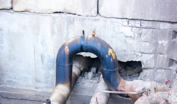 Best Professional water damage repair  in Dumfries, VA