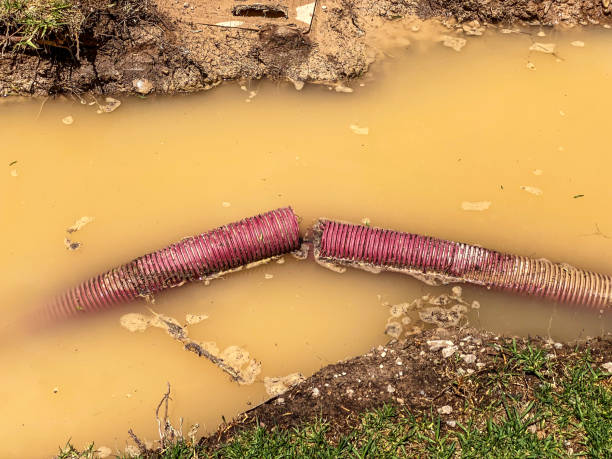Best 24-hour water damage restoration  in Dumfries, VA