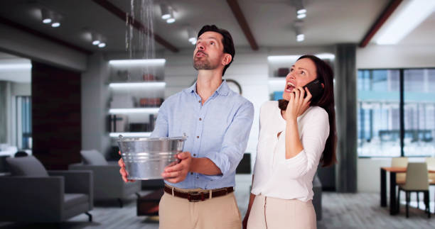 Best Water damage repair service  in Dumfries, VA